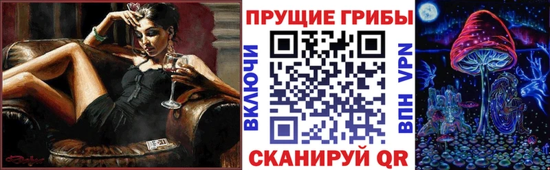 Псилоцибиновые грибы мицелий  Аша 